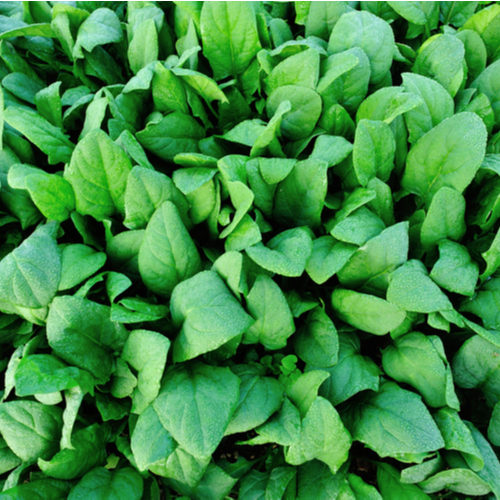 4. Spinach