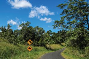 Cassowary Coast. Photographed by Elizabeth Carlson. Image via Tourism and Events Queensland