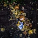 Composting food waste. Photographed by Del Barrett. Image via Unsplash