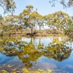 Cygnet River, Kangaroo Island, South Australia. Photographed by Steve Lagreca. Image via Shutterstock