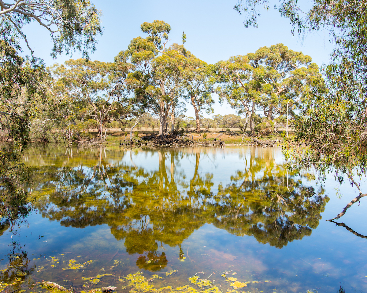 Cygnet River, Kangaroo Island, South Australia. Photographed by Steve Lagreca. Image via Shutterstock