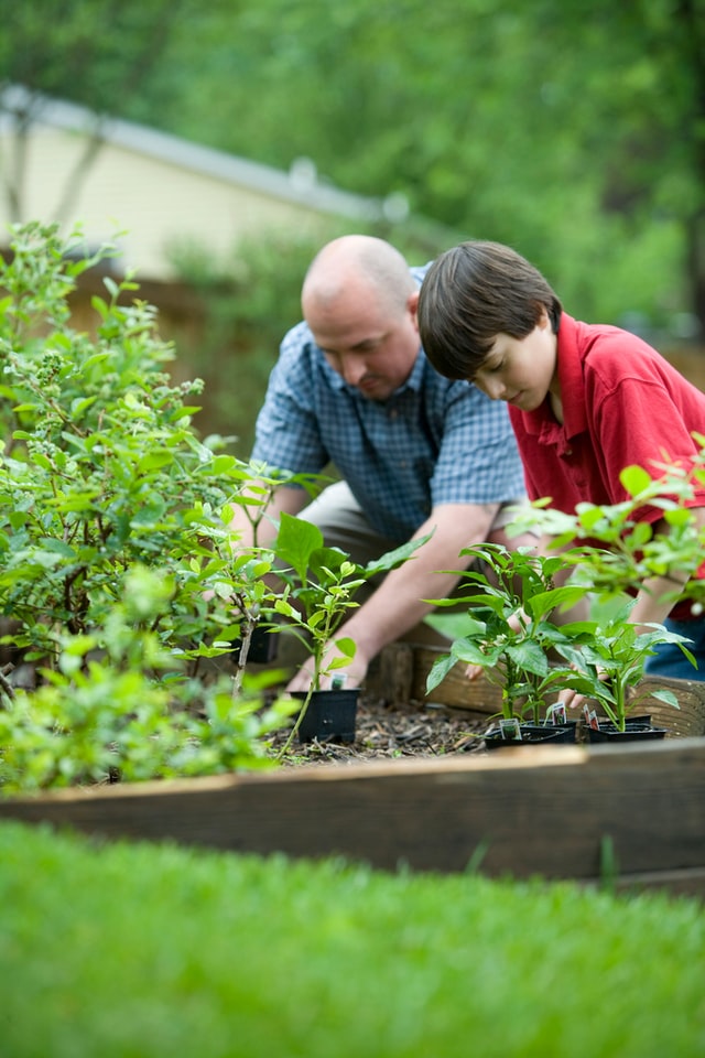Father and son gardening. Photographed by CDC. Image via Unsplash
