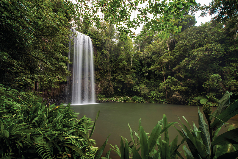 Millaa Millaa Falls. Image via Tourism and Events Queensland