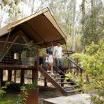 Paperbark Camp, Woollamia. Image via Destination NSW.