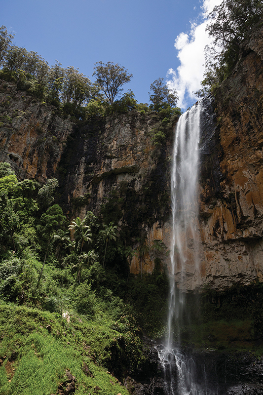 Purling Brook Falls Springbrook. Photographed by Set In Stone Media. Image via Tourism and Events Queensland