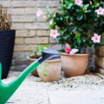 Watering can. Photographed by Louis Hansel. Image via Unsplash