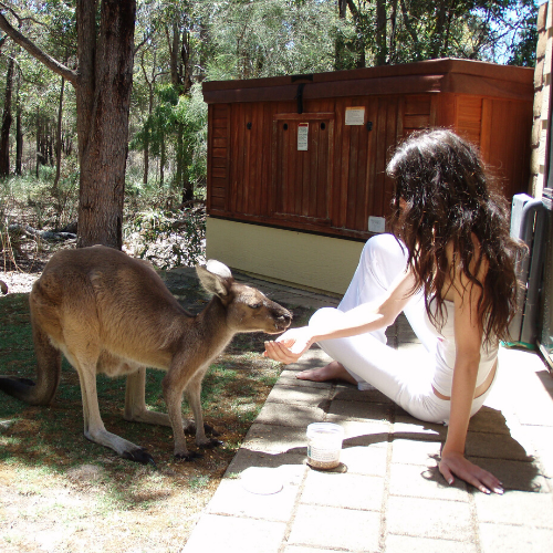 Yelverton Brook Eco Spa Retreat & Sanctuary