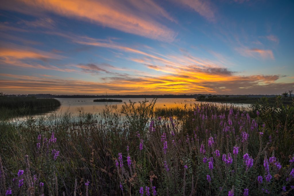 Fitzroy Dam, Southern Highlands. Image by Leelakajonkij via Shutterstock.