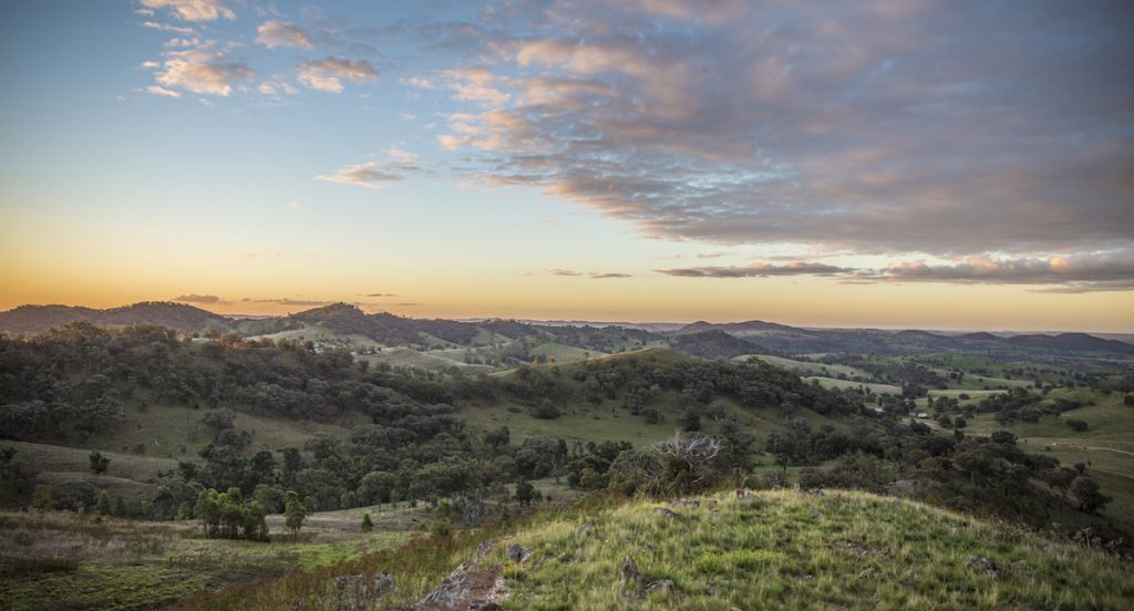 Mudgee NSW. Image by Cameron Darcy via Shutterstock.
