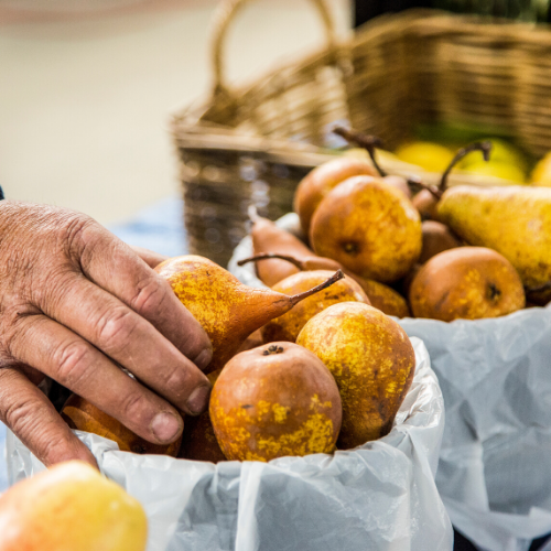 <strong>Orange Farmers Market</strong>