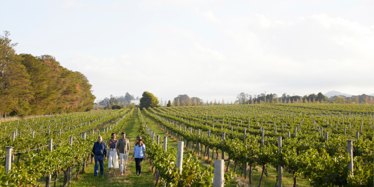 Rowlee Wines. Image via Destination NSW.