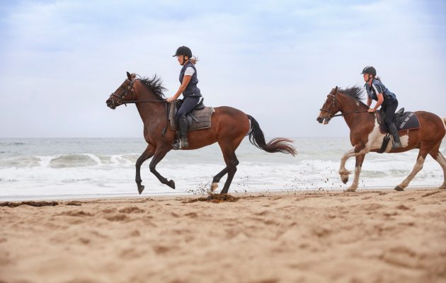 Guests at Bangalay Villas enjoying a beach horse ride experience on Seven Mile Beach, Shoalhaven Heads. Image: Destination NSW