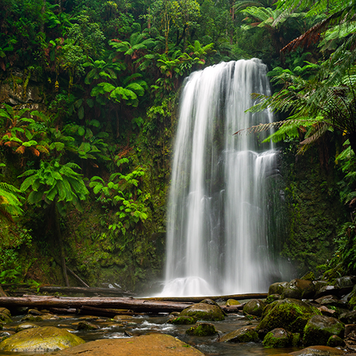 <strong>Beauchamp Falls</strong>, Victoria