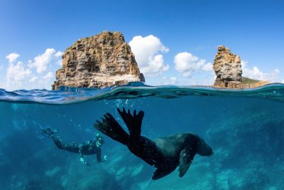 Man swimming with a seal during a snorkelling tour with Dive Jervis Bay. Image: Jordan Robins