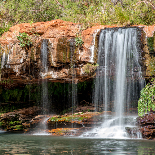 Fern Pools, WA