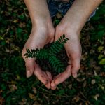 Holding plants and hands. Photographed by Noah Buscher. Image via Unsplash