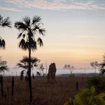 Litchfield National Park Northern Territory. Photographed by Nicholas Kavo. Image via Tourism Australia supplied