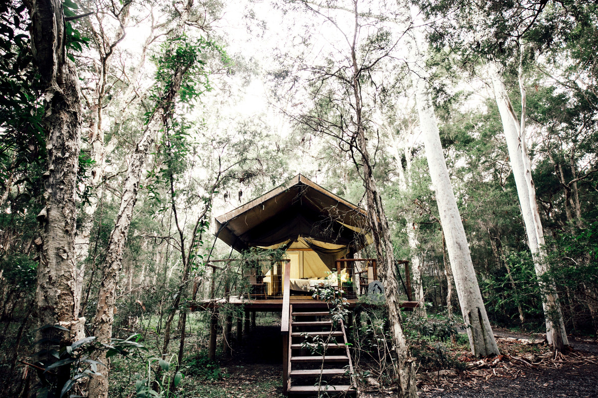 Exterior view of the Deluxe Plus tent at Paperbark Camp, Jervis Bay. Image: Paperbark Camp