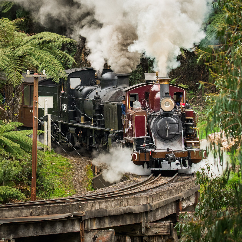 <strong>Puffing Billy Rail Car Luncheon</strong>