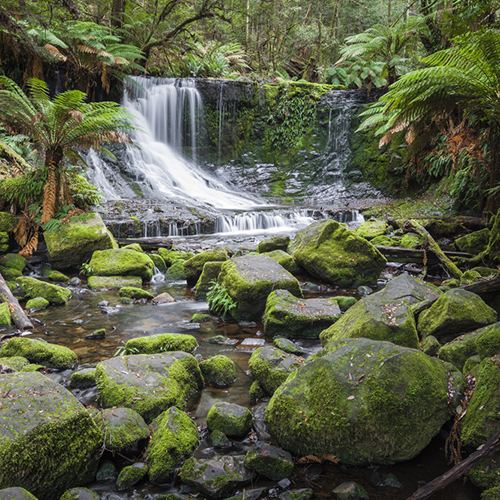 <strong>Russell Falls</strong>, Tasmania