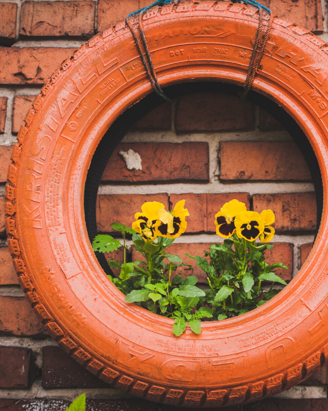 Tyre upcycle into pot plant. Photo by Jakub Jacobsky on Unsplash