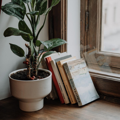 <strong>Bodhi Tree Bookstore Cafe</strong>