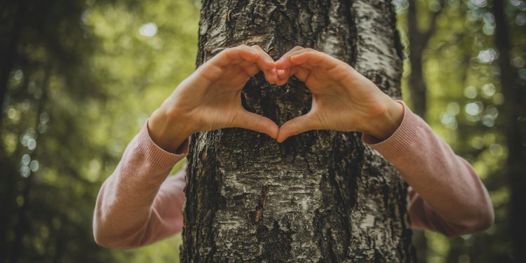 Love tree environment. Photographed by Happy Max. Image via Shutterstock
