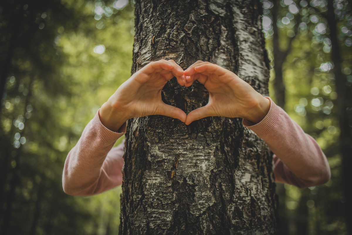 Love tree environment. Photographed by Happy Max. Image via Shutterstock