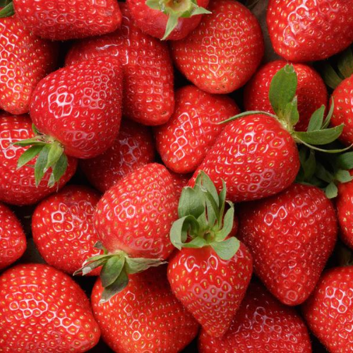 Pick Your Own Strawberry Farm 