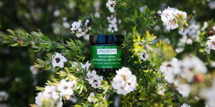 Antipodes Manuka Honey Day Cream product shot in bush