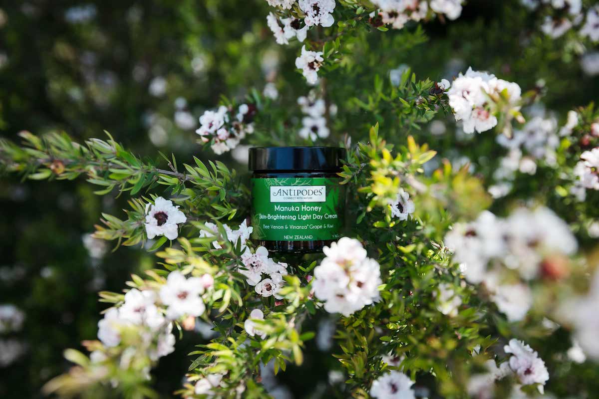 Antipodes Manuka Honey Day Cream product shot in bush