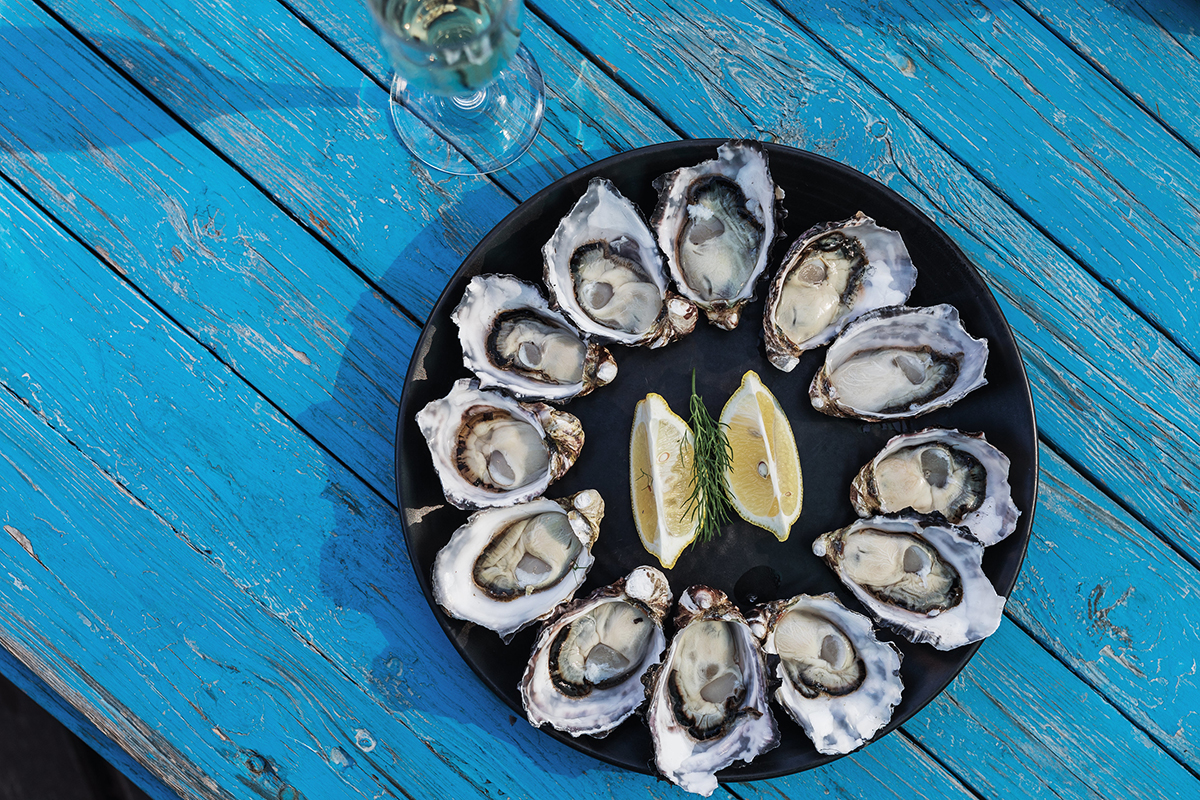 Bruny Island Oysters From Get Shucked, Tasmania. Sourced From Tourism Tasmania, Photographed By Adam Gibson.