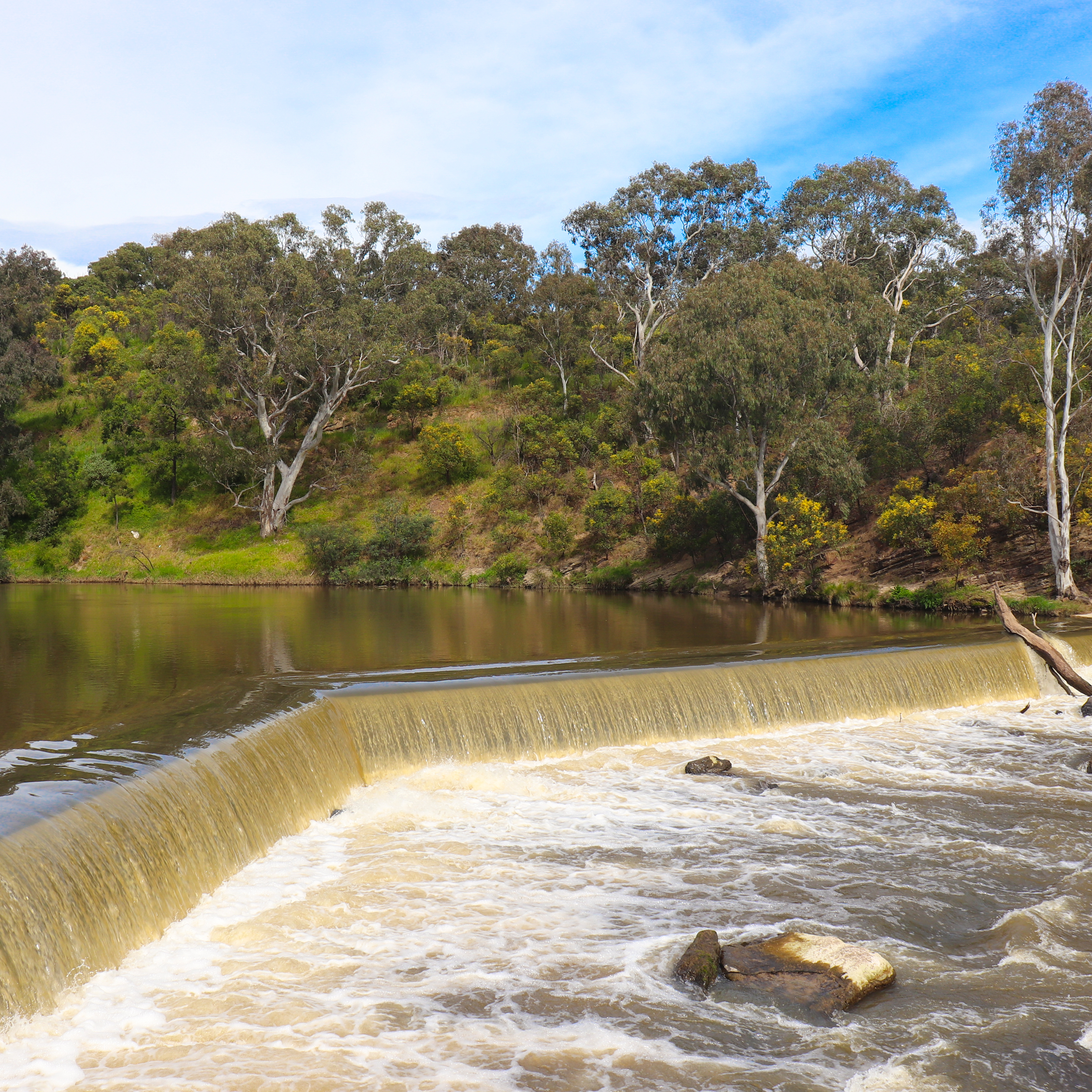 <strong>Dights Falls Loop Trail</strong>