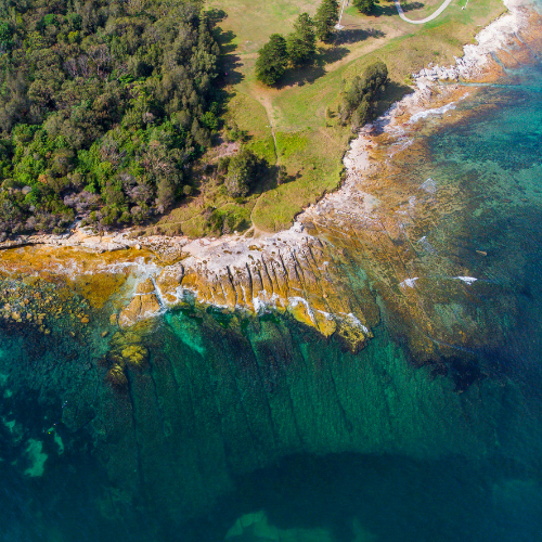 <strong>Cronulla</strong>