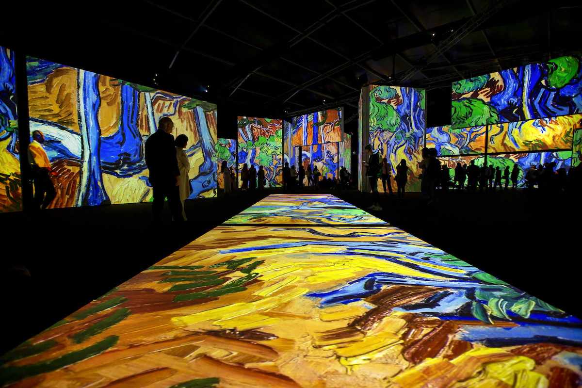 Van Gogh Alive Sydney. Vincent Van Gogh Tree Roots. Image supplied