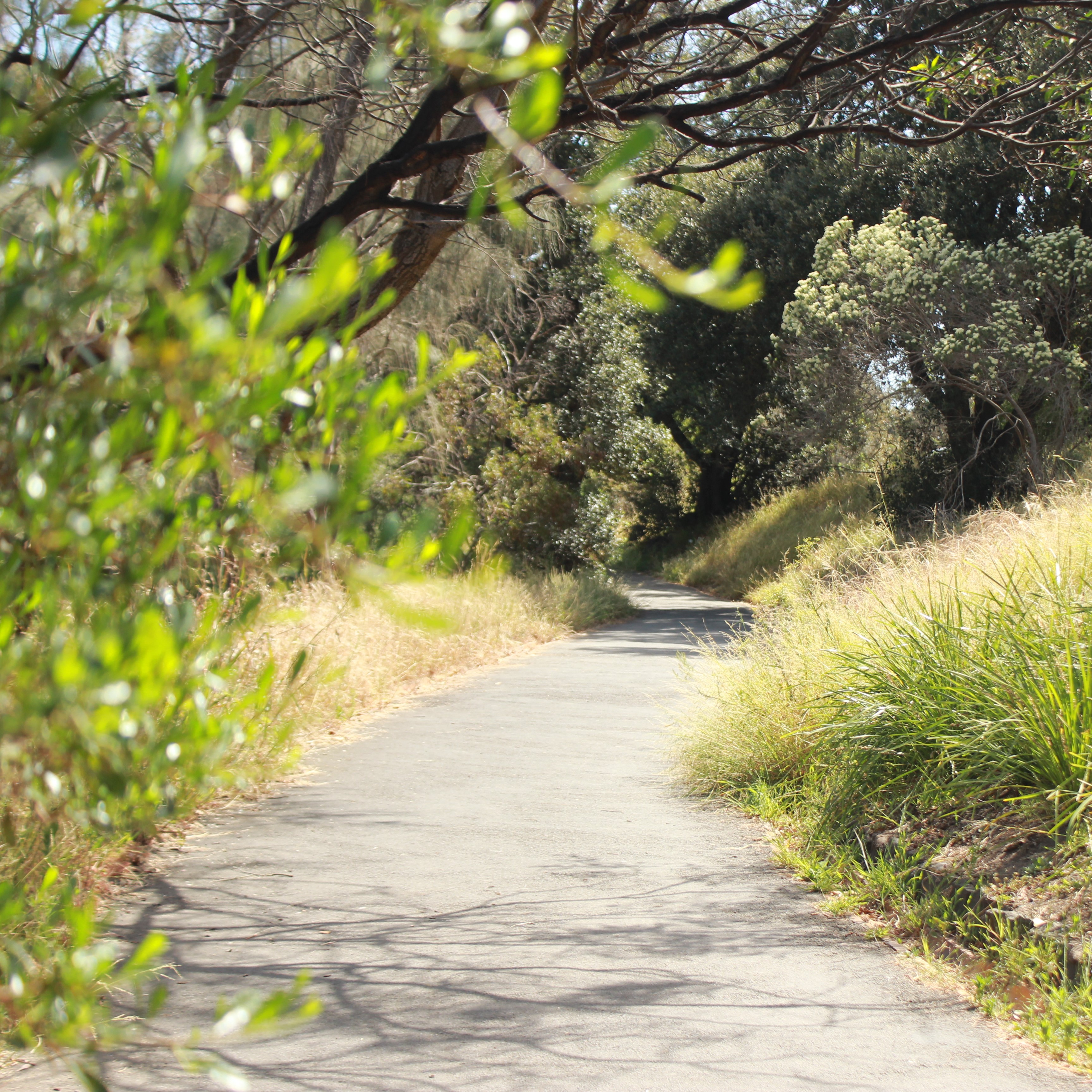 <strong>Yarra Bend Park Walk</strong>