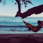 Beach Hammock. Image Sourced From Shutterstock, Photographed by Sergiy Borakovskyy.