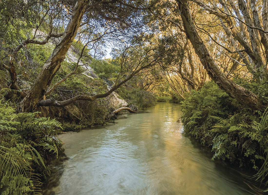 Eli Creek, Fraser Island. Image supplied by Tourism and Events Queensland.