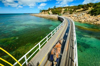 Horse-Drawn Tram to Granite Island, South Australia. Photographed by amophoto_au. Sourced via Shutterstock