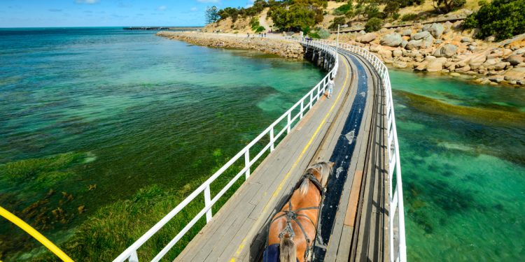 Horse-Drawn Tram to Granite Island, South Australia. Photographed by amophoto_au. Sourced via Shutterstock