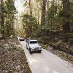 Inland 4WD Track, Fraser Island. Image supplied by Tourism and Events Queensland.