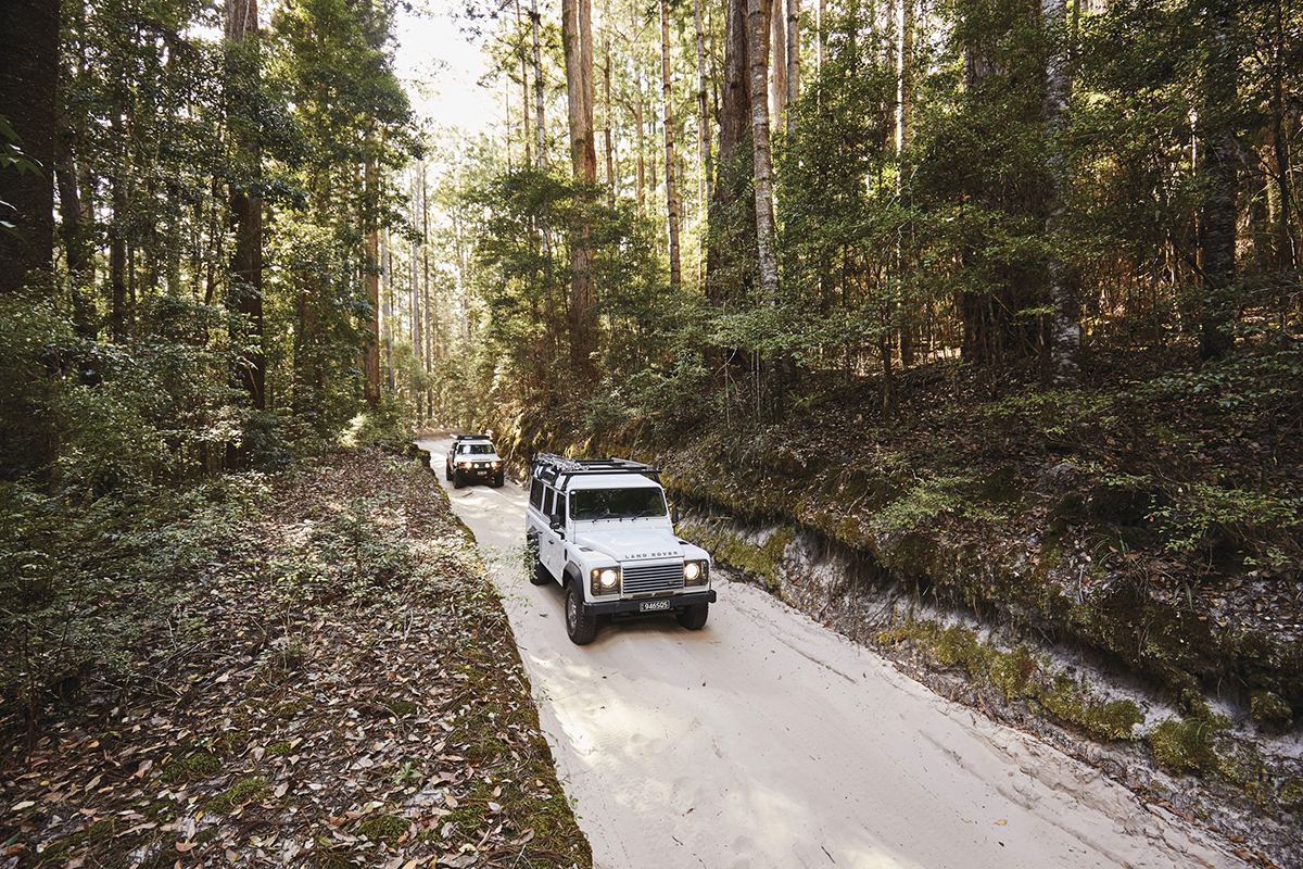 Inland 4WD Track, Fraser Island. Image supplied by Tourism and Events Queensland.
