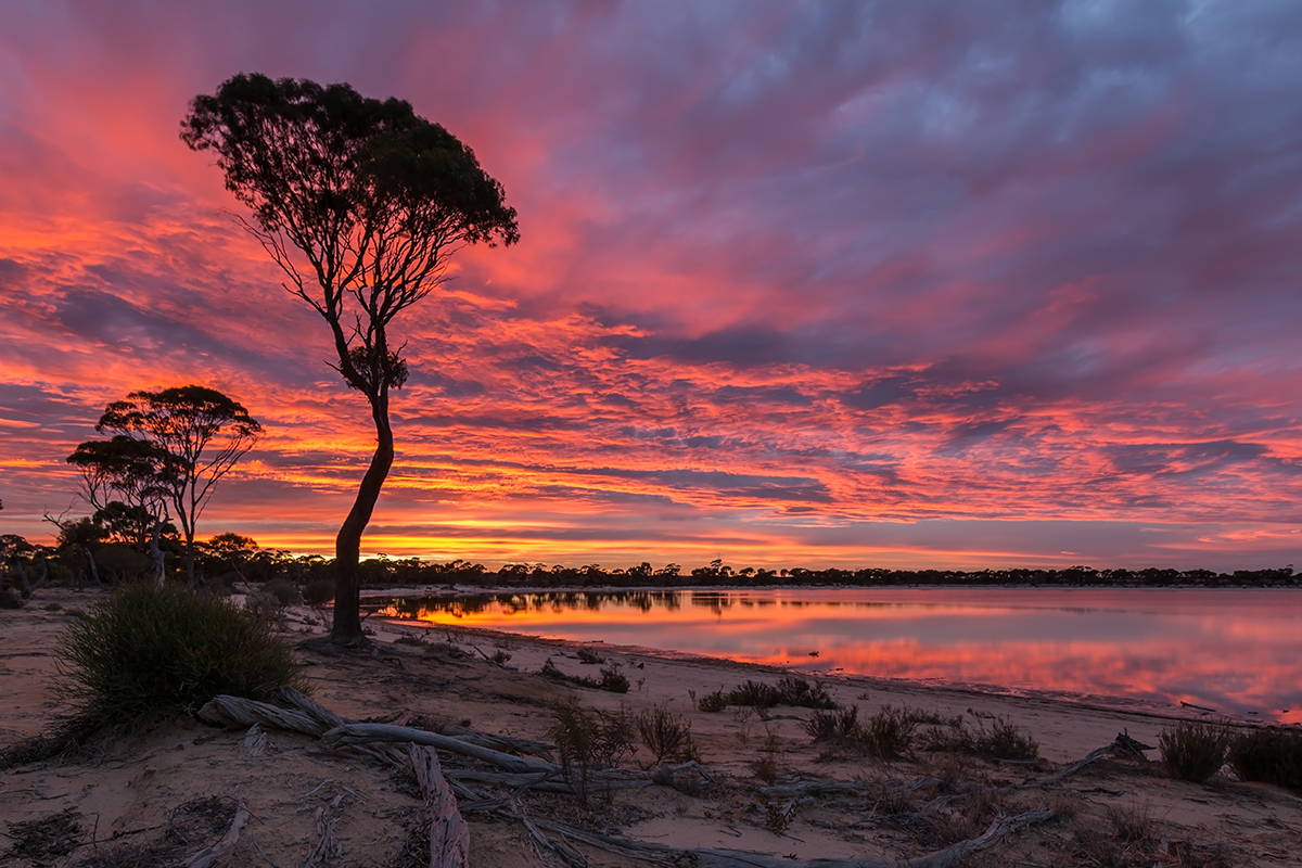 Lake Magic, Hyden. Photographed by Lepir. Image via Shutterstock