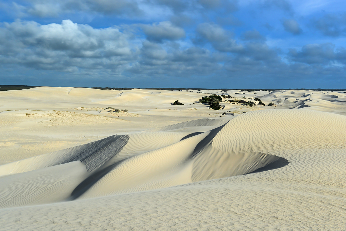 Lancelin Sand Dunes. Photographed by Feliz Lipov. Image via Shutterstock