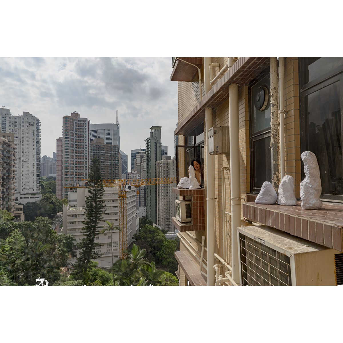 Looking Out My Kitchen Window by Cordelia Tam