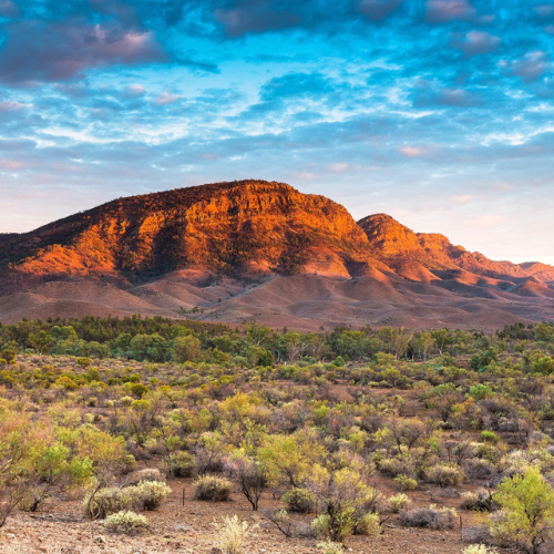 <strong>Chambers Gully Hike</strong>