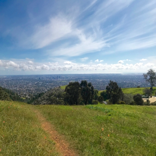 Mount Osmond Walking Trails