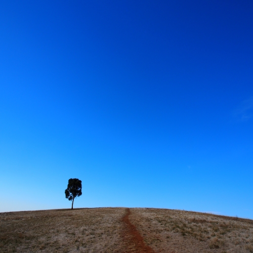 <strong>Peter Nelson Walking Trail</strong>