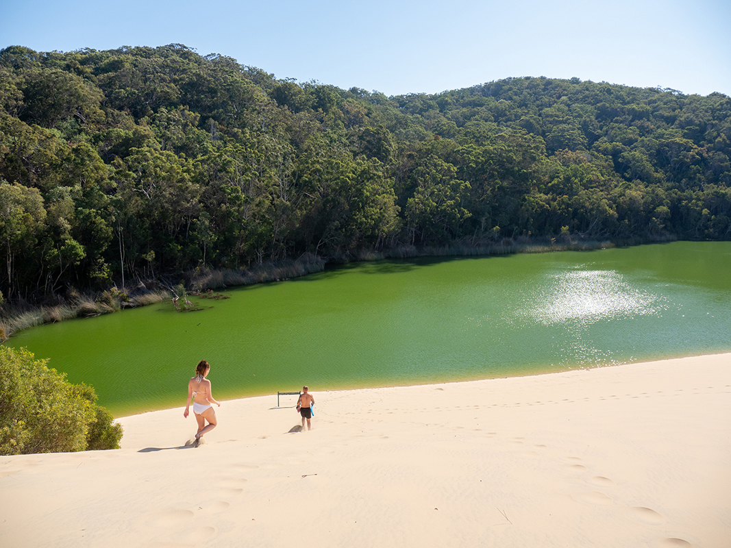 Swimming Lake Wabby, Fraser Island. Image supplied by Tourism and Events Queensland.