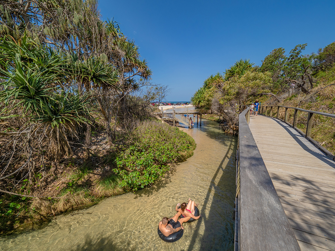 Swimming Eli Creek, Fraser Island. Image supplied by Tourism and Events Queensland.